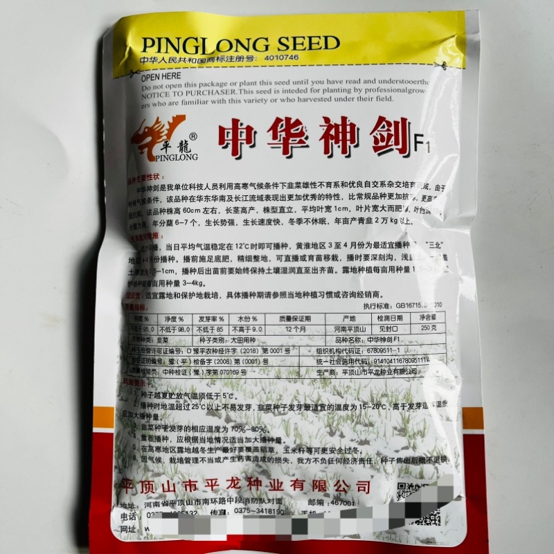 韭菜种子中华神剑韭菜品种，不休眠，深绿色韭菜品种种子