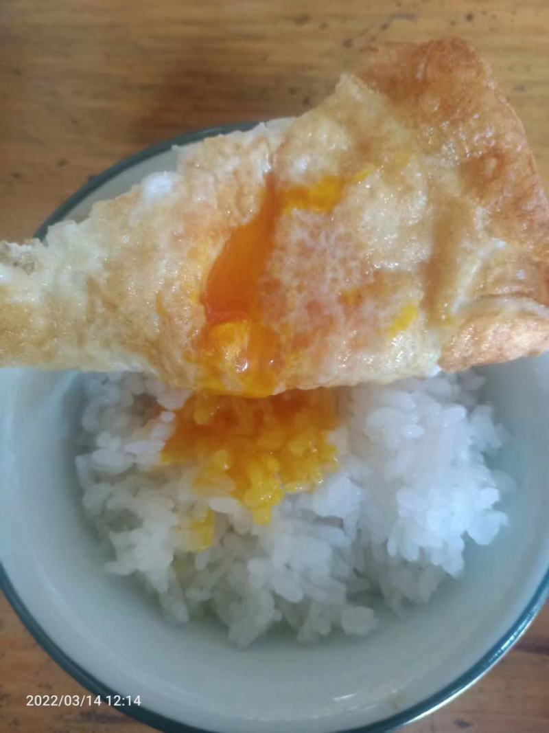 云南高山放羊鸡土鸡蛋，大量收购发货中！