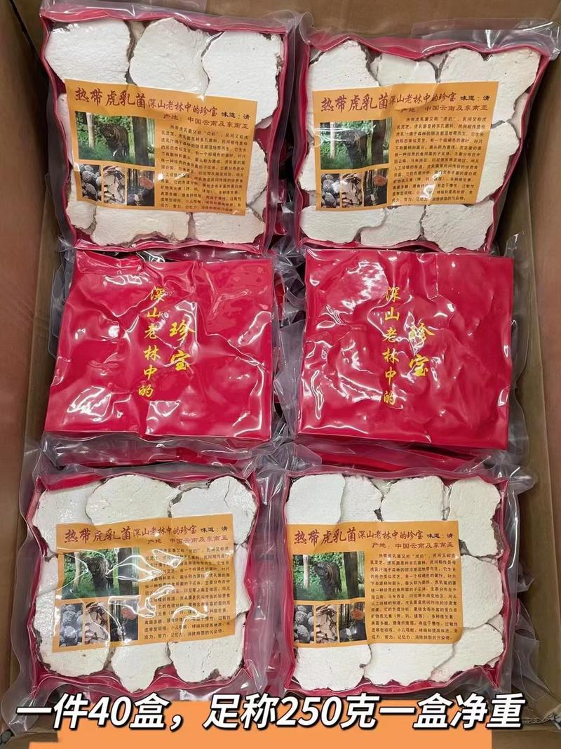 马来西亚虎乳菌缅甸虎乳菌大货批发全国发货量大从优