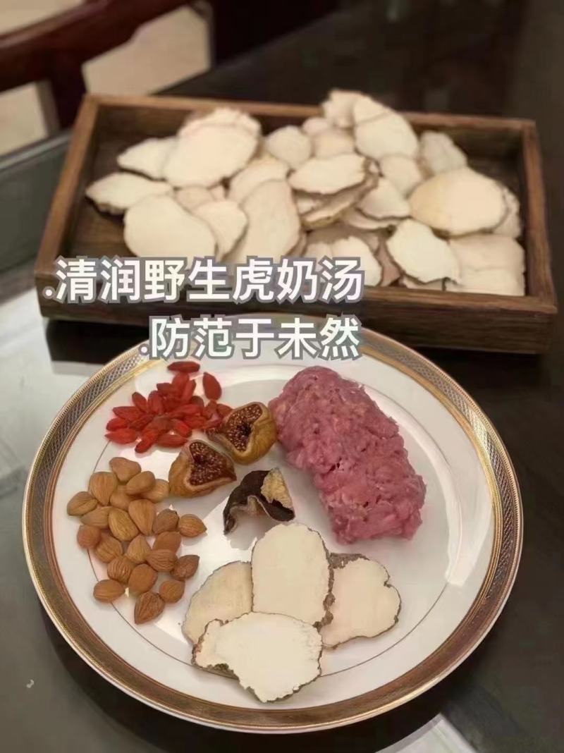 马来西亚虎乳菌缅甸虎乳菌大货批发全国发货量大从优