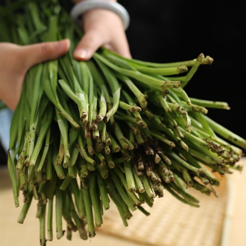 河北韭菜，优质韭菜，货量充足，整车发货，量大从优