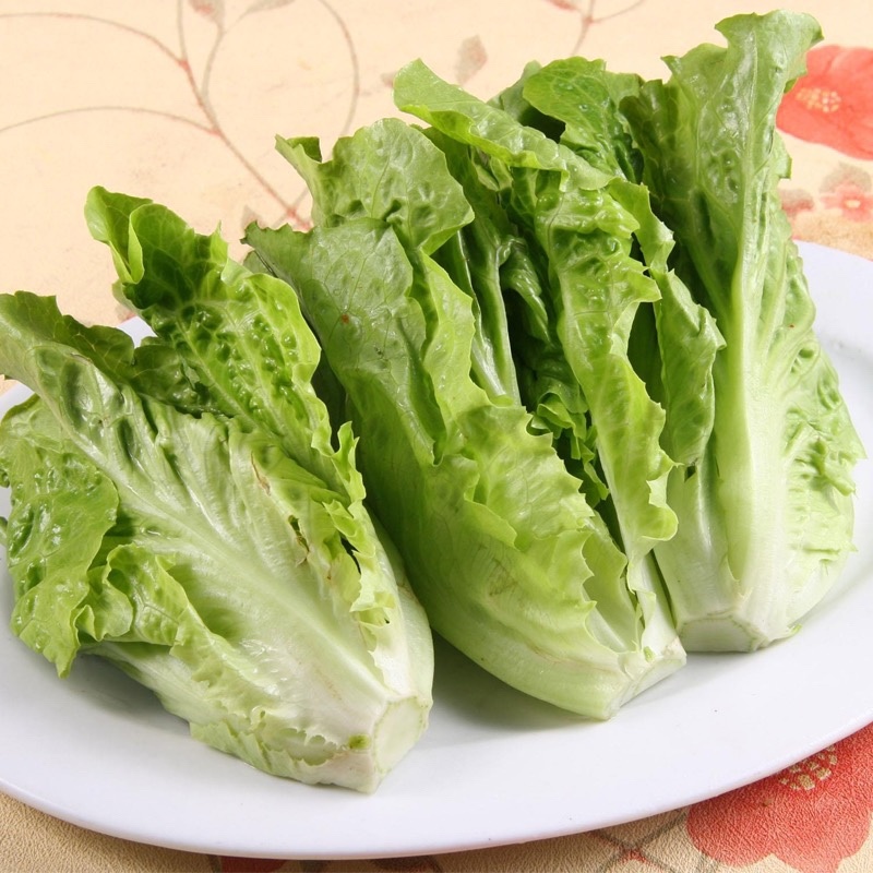 精品生菜，散叶生菜，品质保证，一手货源，全国发货