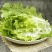 精品生菜，散叶生菜，品质保证，一手货源，全国发货