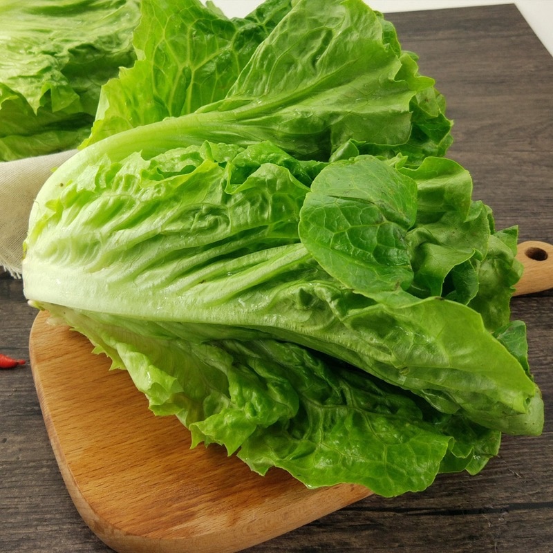 精品生菜，散叶生菜，品质保证，一手货源，全国发货