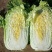 【热卖】精品白菜，北京3号白菜，全国发货，一手货源，量大从优