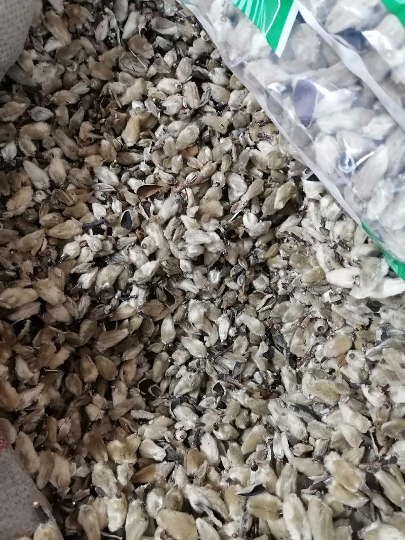 辛夷花辛夷无硫中药材毛桃花木笔花批发零售各种规格中药材