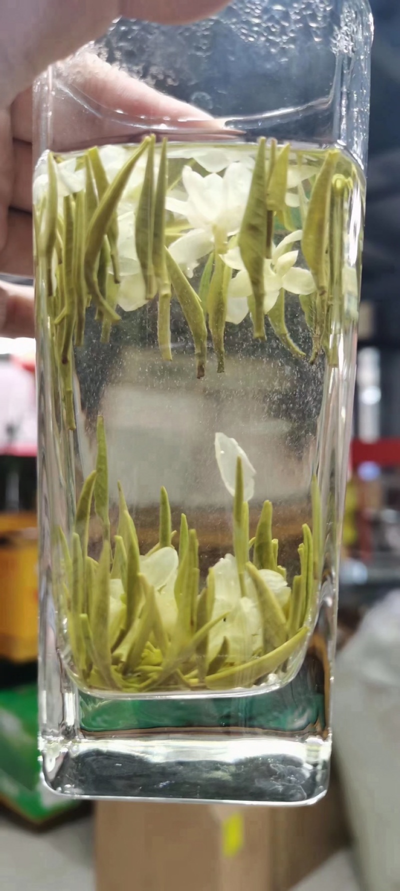 茉莉兰雪浓香型茉莉花茶天府龙芽高窨兰雪