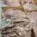 熟牛头肉精品牛头肉厂家直发保质保量
