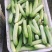 本地大棚黄瓜，无苦味，60亩基地直销，期待与你合作