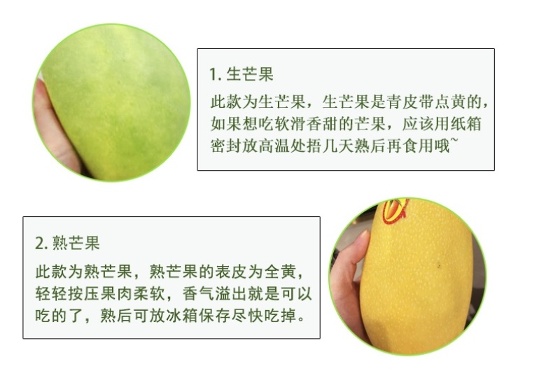 海南金煌芒，贵妃芒，台农芒，线上线下可对接。