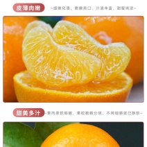 沃柑