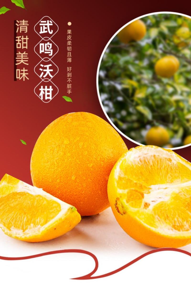 沃柑