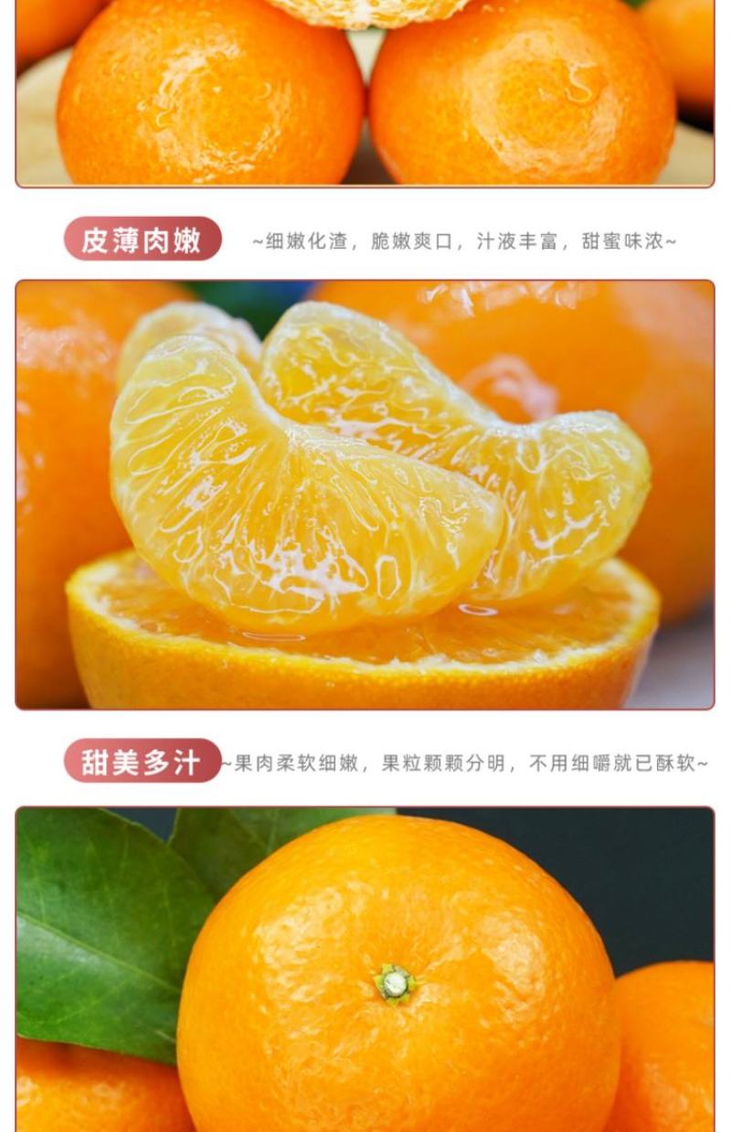 沃柑