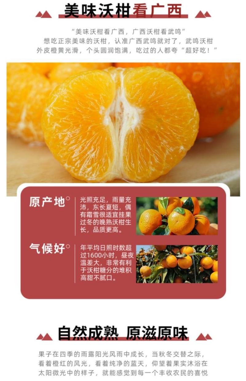 沃柑