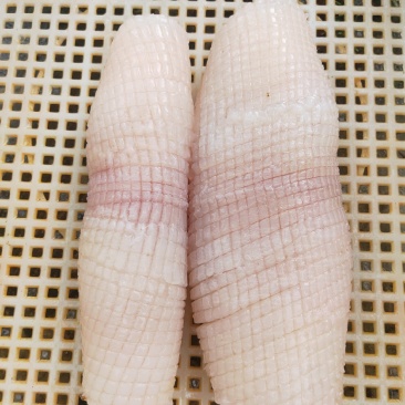 鱿鱼花