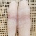 鱿鱼花
