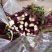 菜苔湖北红菜苔江夏基地直发大量有货欢迎新老客户咨询