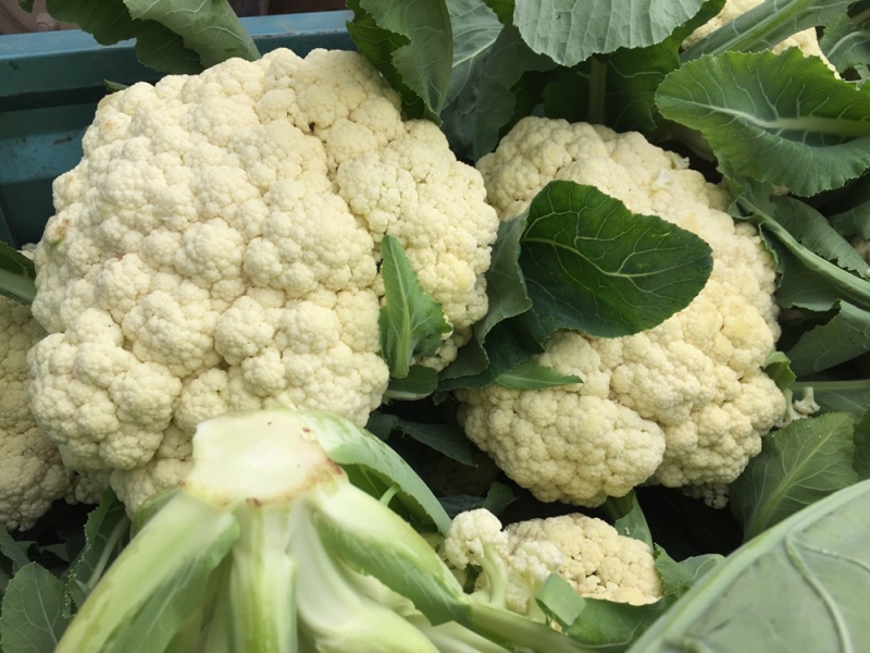 有机菜花菜松花大量上市湖北当阳合作社直供质优价廉