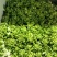 精品