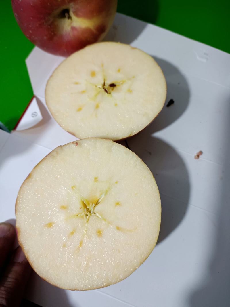高山膜袋富士苹果，秦冠苹果，花牛苹果