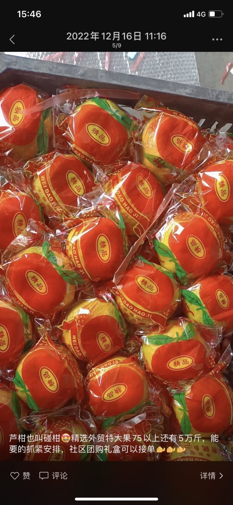 精品芦柑，高山产地货源，农户一手货源，大量供应…………