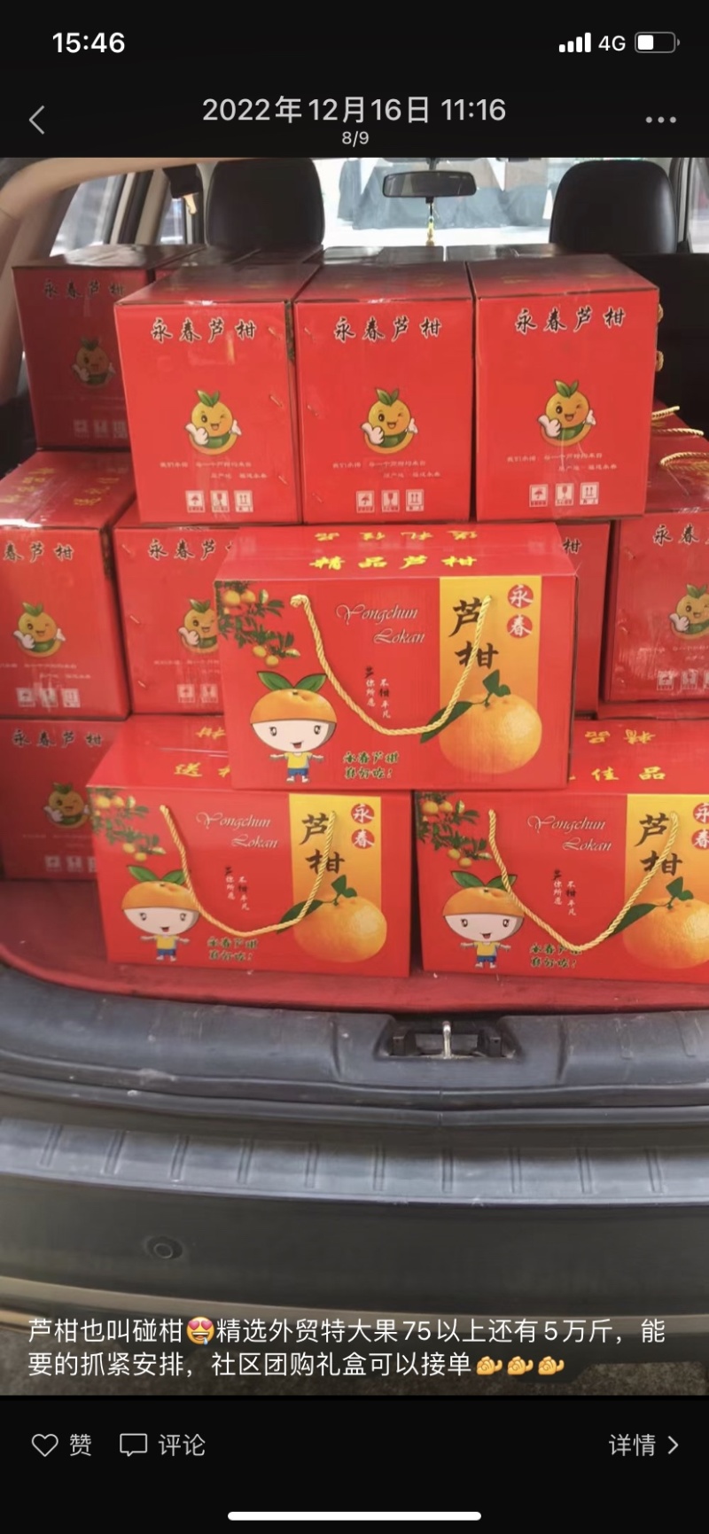 精品芦柑，高山产地货源，农户一手货源，大量供应…………