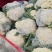 [热销]花菜松花菜有机花菜有机花菜花欢迎来电