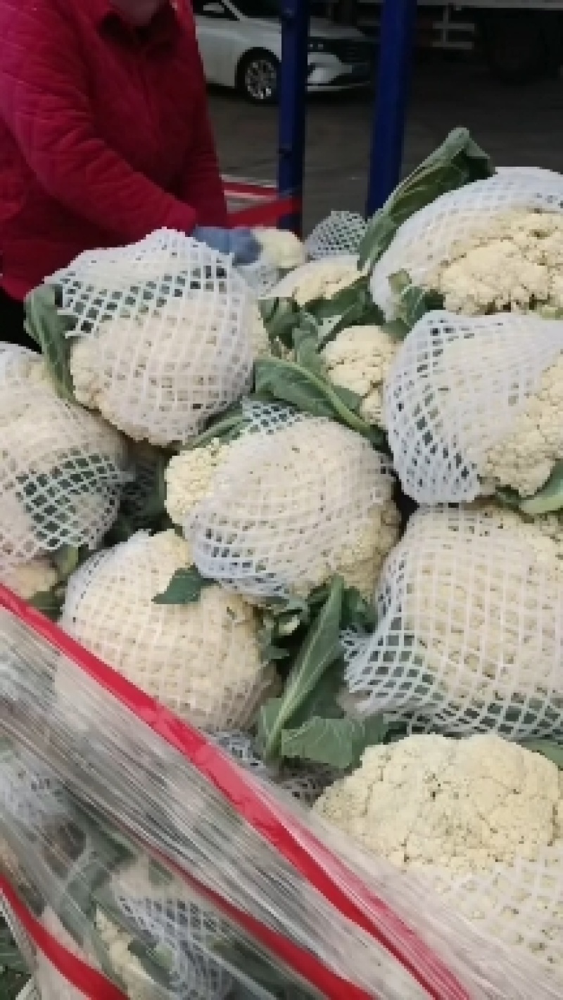 [热销]花菜松花菜有机花菜有机花菜花欢迎来电
