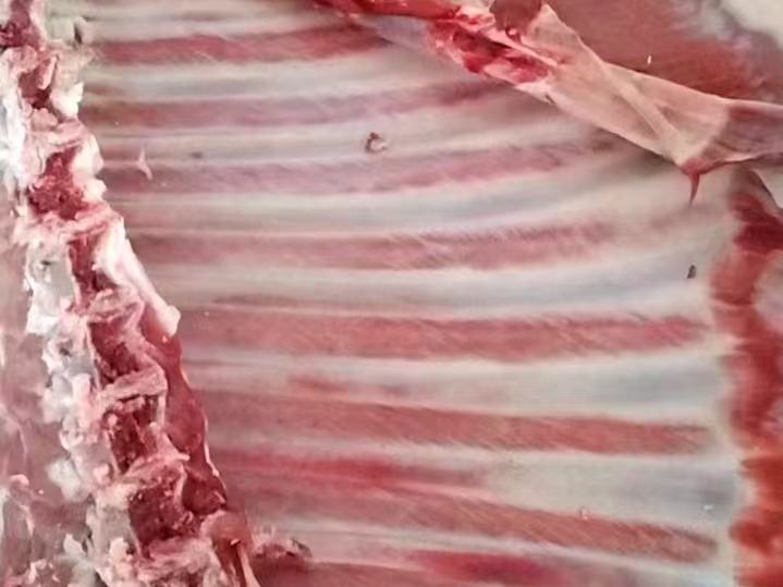 白条羊分割示意图