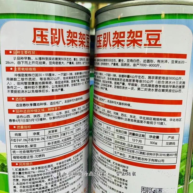 压趴架架豆种子九粒白架豆早熟二季豆菜豆种子春秋大田基地