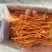 【金虫草】内蒙虫草花产地货源，大孢子头虫草花金虫草