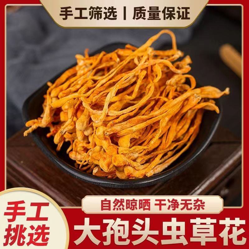 虫草花干货内蒙产地货源批发北虫草新鲜金虫草煲汤