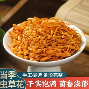 虫草花排草排孢子头3斤每包金虫草内蒙产地货源