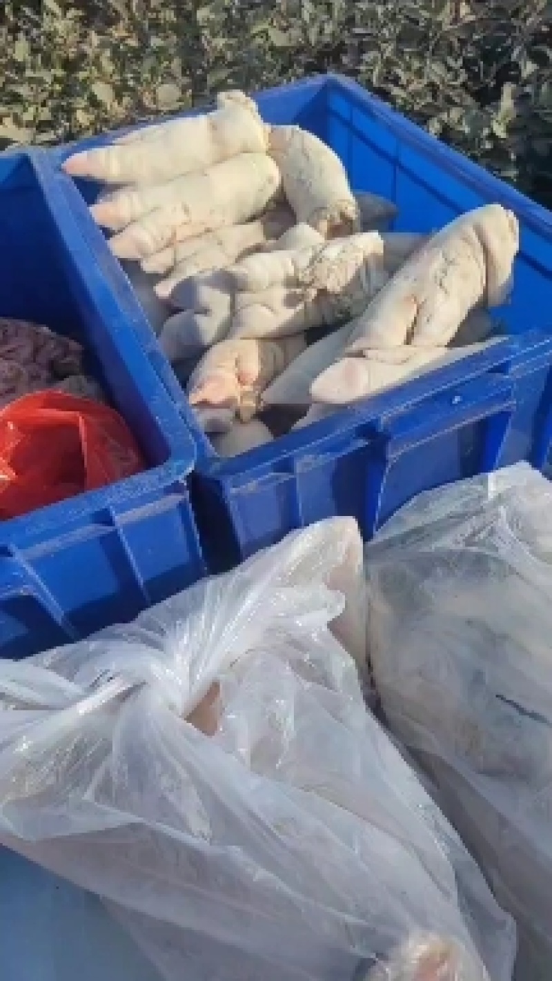 猪爪，猪头，大肠，小肠，猪肚，猪干批发量大从优