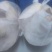 猪爪，猪头，大肠，小肠，猪肚，猪干批发量大从优
