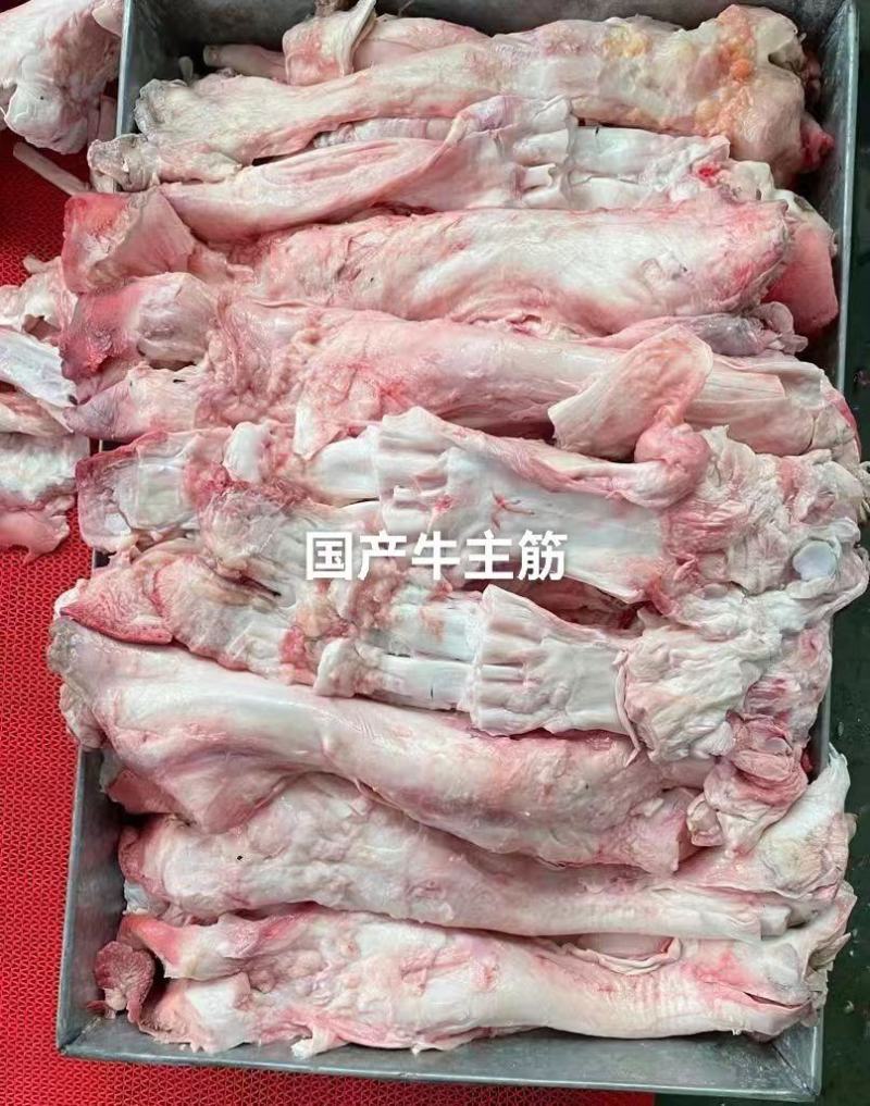 【推荐】牛蹄主筋厂家发货品种规格齐全牛蹄筋