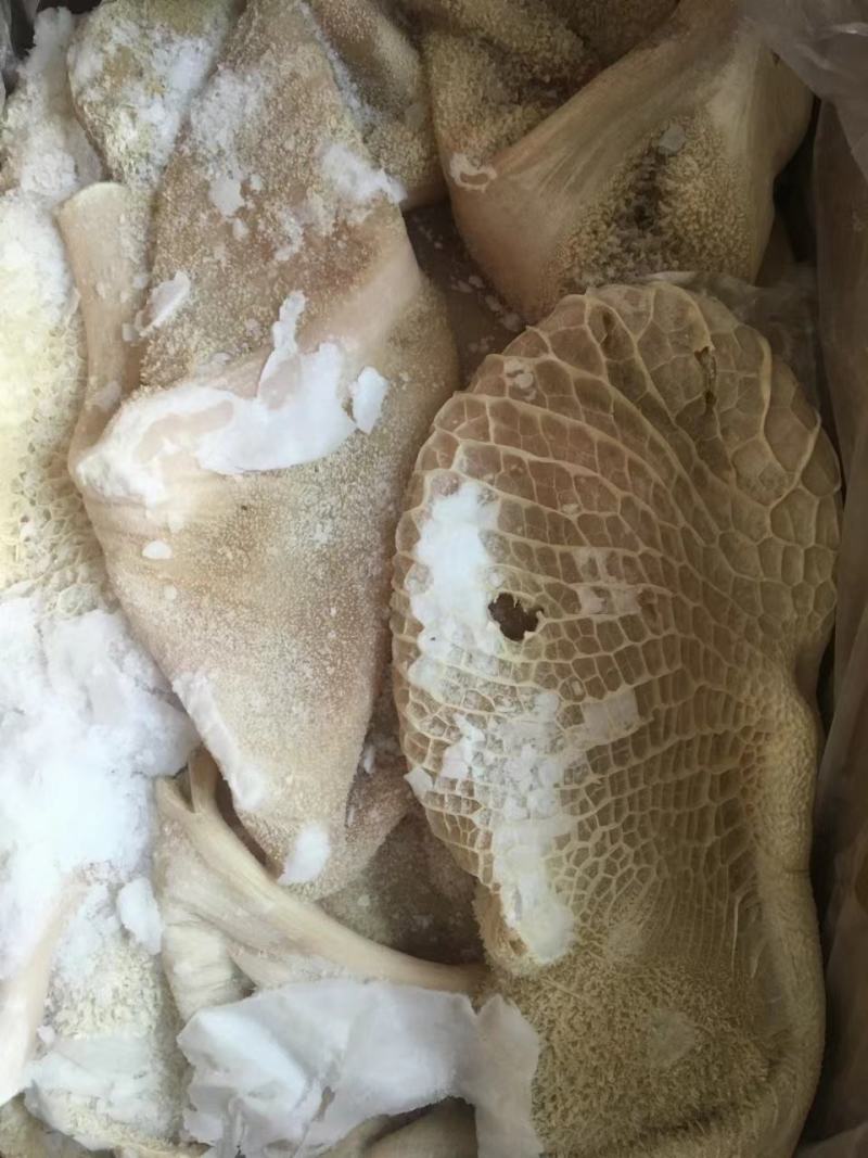 半shu牛肚厂家发货货源充足欢迎咨询
