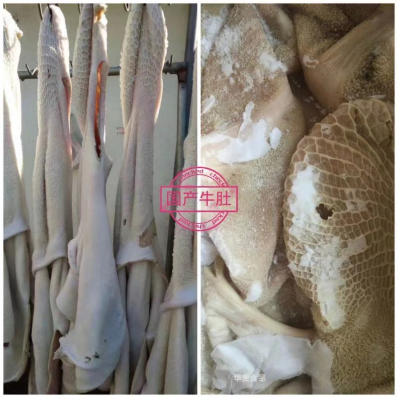半shu牛肚厂家发货货源充足欢迎咨询