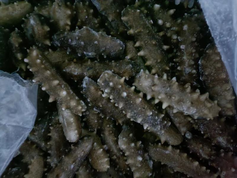 15-25通货有量