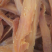 山东烟台烟薯25薯条自然凉制，不加糖不加防腐剂