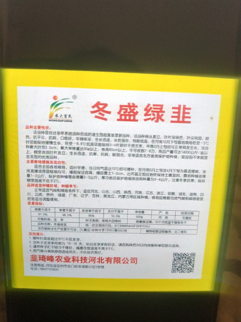 不休眠冬盛绿韭叶宽色深绿产量好优质抗性好直立类型