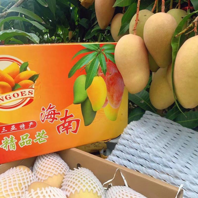 【品种】玉文芒果（红玉芒果）【产地】海南三亚【口感特细腻