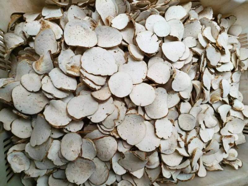 重楼切片威宁仿野生原生种植新型农业中药材
