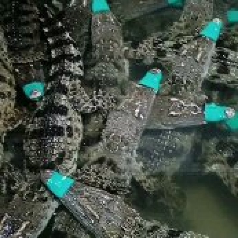 好货多多。应有尽有。