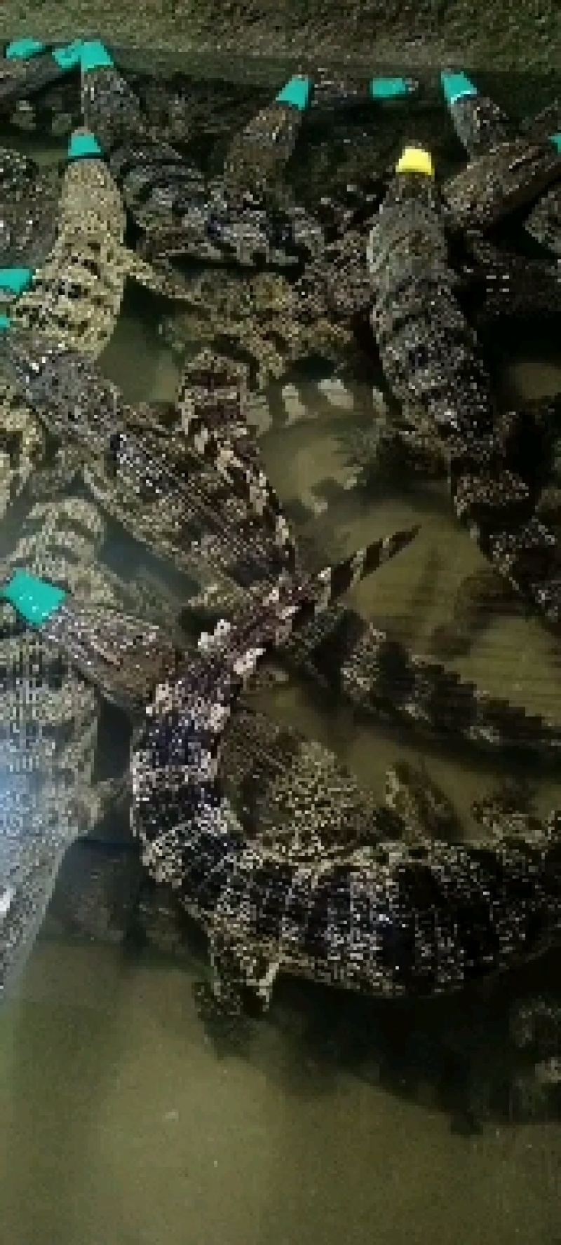 好货多多。应有尽有。