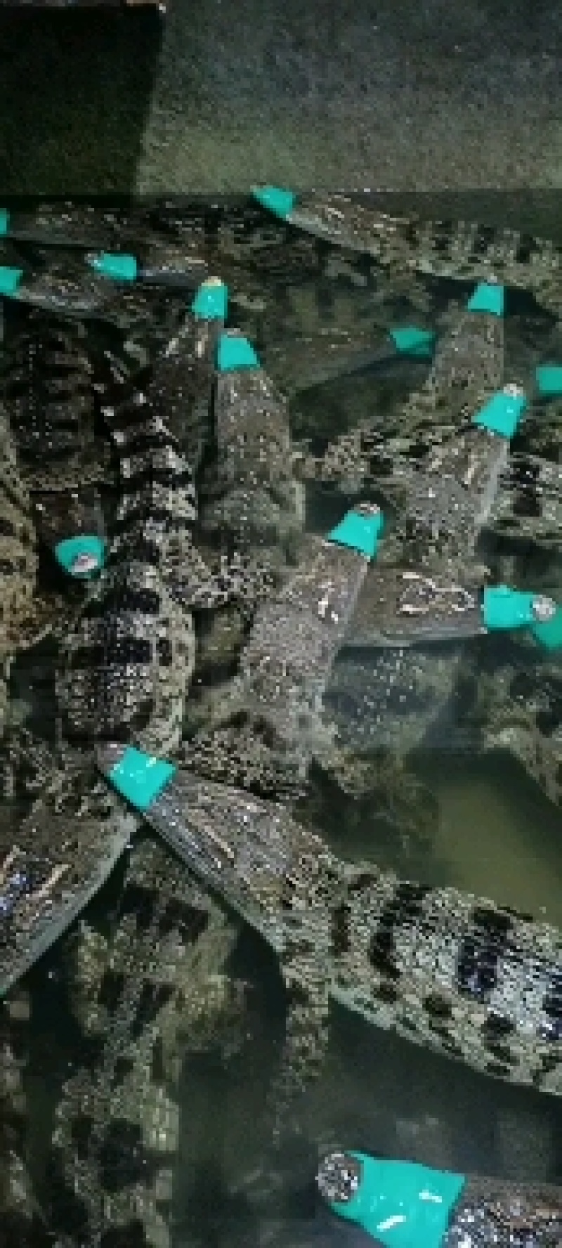 好货多多。应有尽有。