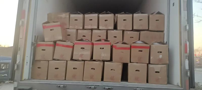 产地发货精品人工挑选龙九中瓜大瓜支持各种包装