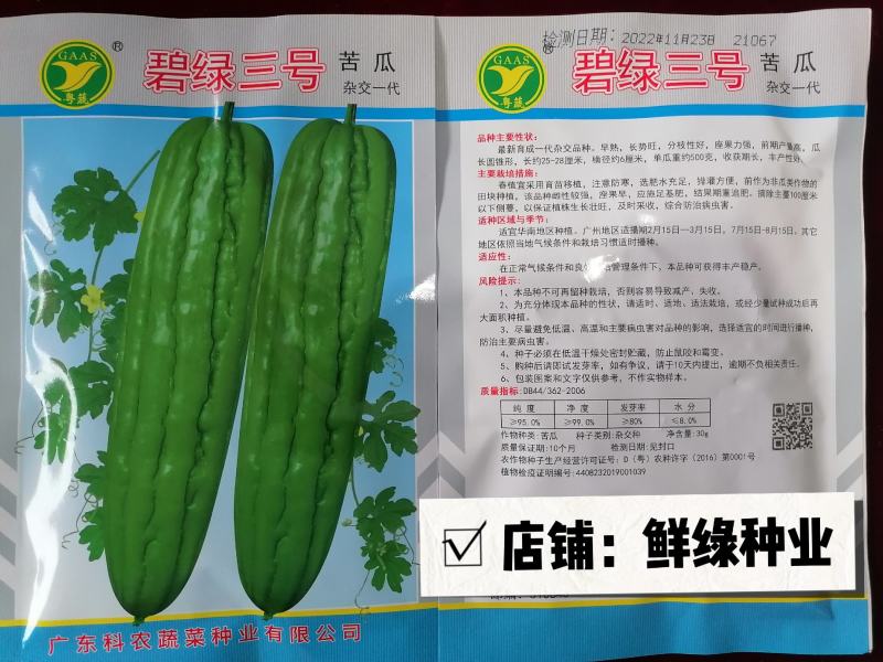 碧绿三号苦瓜早熟雌性强长势旺丰产单瓜约500克