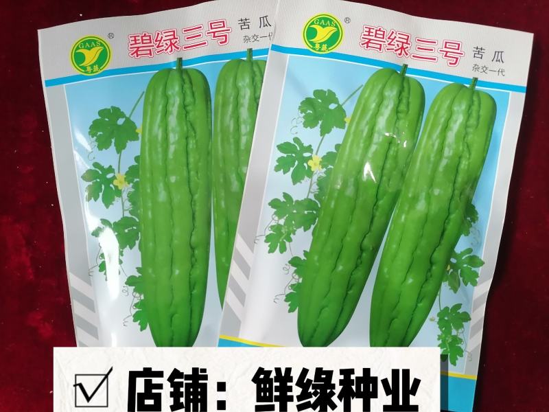 碧绿三号苦瓜早熟雌性强长势旺丰产单瓜约500克