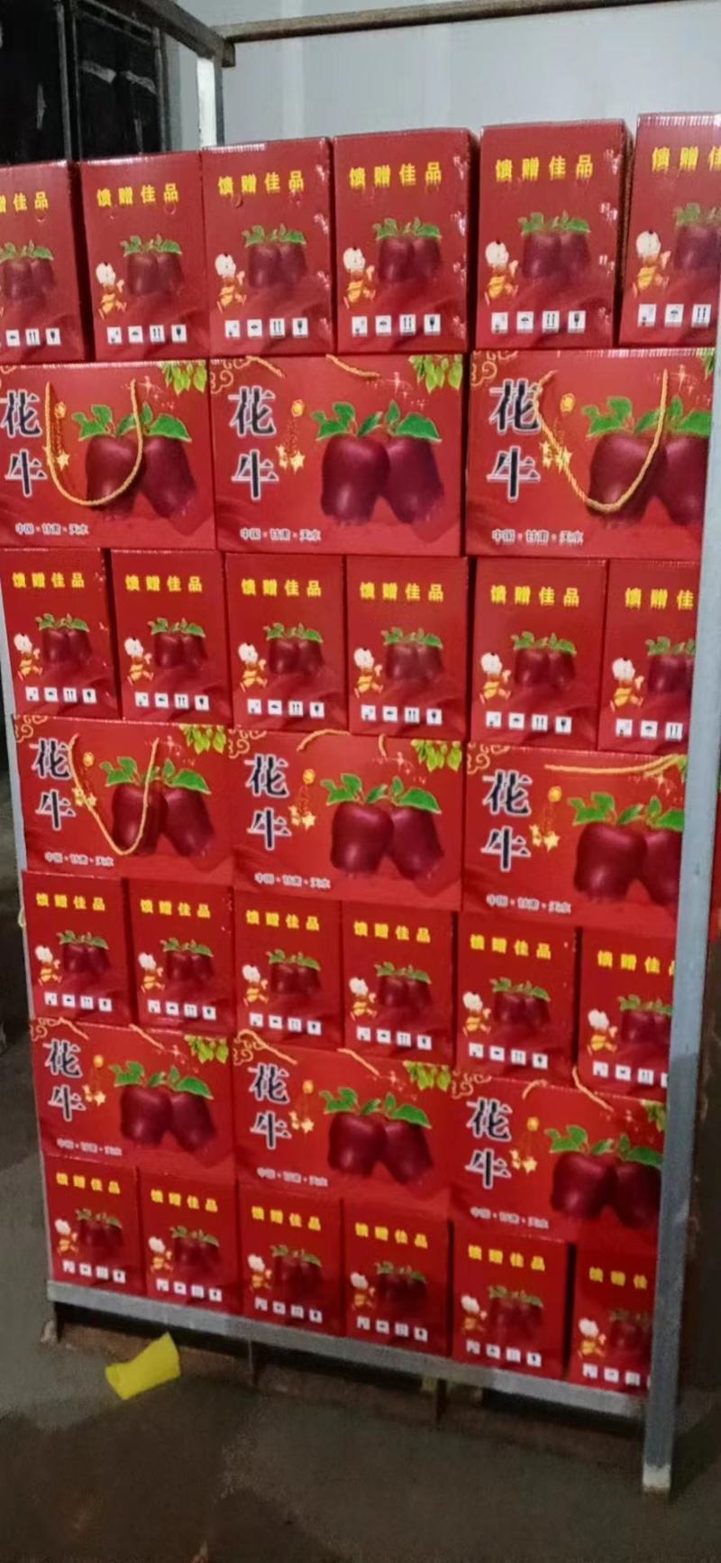 各个产区的苹果都有，有需要的，继续合作，诚信为本
